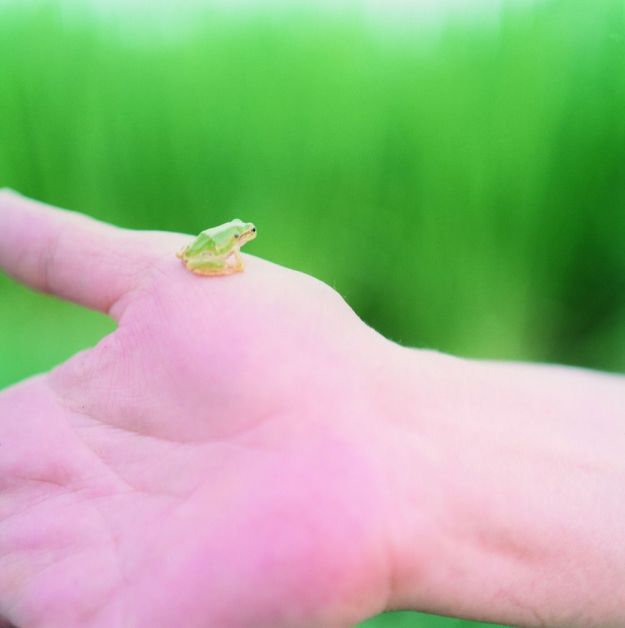 82a42507-cc2f-4d90-a4b7-f891d7f2d1d1