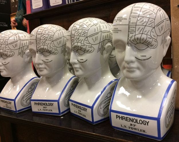 Phrenology_Head_Bust